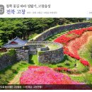 모양성로 이미지