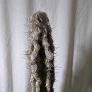 복실농장 이미지