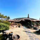 꽃다지 맞은편 이미지