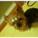 남항파출소 이미지