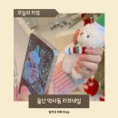 평산초등학교 | 울산 중구 네일 약사동 키즈네일 젤네일 리브네일