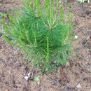 덕풍황토방 이미지