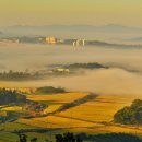 들녁의 하얀집 이미지