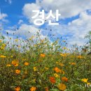 (주)한방촌 이미지