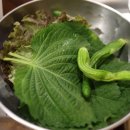 냉동삼겹살 - 부천시 원미구 장말로294번길 38 | 의왕 냉삼맛집 302냉삼 계원예대점 주기적으로 생각나는 냉동삼겹살 솔직후기