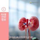 보훈효사랑요양병원 | 유치도뇨관 사용 시 주의 사항과 요로 감염 예방관리 - 효사랑가족요양병원 감염관리실