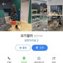 코기절미 이미지