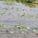 종연농장 이미지