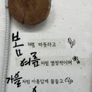 내가 찜한 코다리찜 | 장흥 코다리 맛집 내가찜한코다리찜 장평점