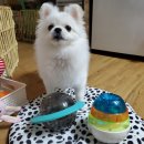 신둔천 2 이미지