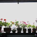 사각하늘 이미지