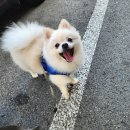 아빠세차장 이미지