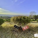 일산목장 이미지