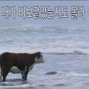 불꽃마프 | [EF 뉴욕 어학연수 후기 14] 7월 정산上