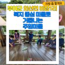 비암1리 네이버블로그