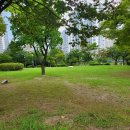 옥구인조잔디축구장 이미지