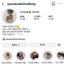 변형 | W15. 연둣빛살롱 가성비 헤어변형 추천 후기