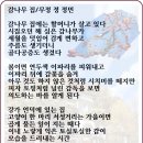 감나무 집 이미지