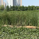후지필름 x 뉴나인 쌍안경 탐조 프로그램후기