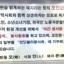 오인돈 네이버블로그