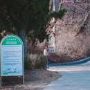 인천영종초등학교 이미지