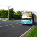 프리맨 | 2026.1.16.(금) 케언즈 마지막날 ➔ 퍼스 1일차(feat.프리맨틀)🍺