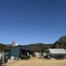 도그애견 | 뛰놀기 좋은 부산애견카페 도그백 방문 후기