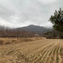 여주-0121 | [경기도 여주 카페] 산속 시골냄새 가득한 '카페아치'