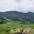 경북 예천군 학가산자락 청정지역 2,595m2 토지 이미지