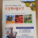 임실반디울농장 이미지