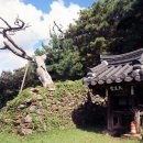 논공(대구) 이미지