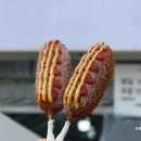 한우김사또 | 2025년 첫 일상 1월 첫째 주: 을사년 시작