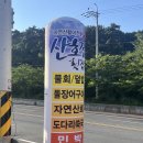 산호정