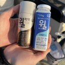 안녕하세요? 야쿠르트 아줌마입니다 | 야쿠르트 윌 작약 마셔본 후기 꽤 괜찮아요