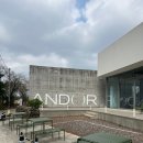 숲속카페 - 남동구 도림북로 41-11 | 제주 여행ㅣ동쪽 숲속 비자림 대형 카페 [안도르] 솔직후기