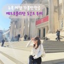 미국 뉴욕 여행 가볼만한곳 추천 메트로폴리탄 미술관 도슨트 투어 한국어 시간 예약 가격 작품 후기