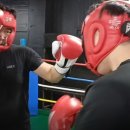 정일복싱 이미지