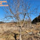 거산1리 마을회관 이미지