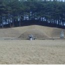 충희공 이인손 묘 이미지