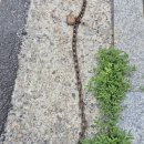 (주)초원 이미지