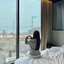 스테이해비움 이미지