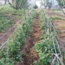 일상의 하루 이미지