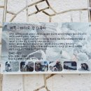 섬다육아트
