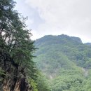 도마치계곡 이미지