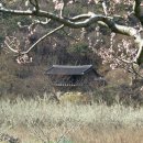영천시 매산 고택과 산수정 이미지