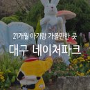 대구 네이처파크 플라워페스티벌｜21개월 아기랑 재방문 후기