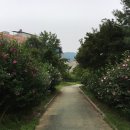 생강골 공원 이미지