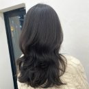 청솔헤어샵 | 대구 범어동 머리잘하는곳 예하헤어 아윤채 두피/모발클리닉 후기