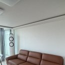다우닝 통가죽 소파 시엘 4인소파 꼬냑 내돈내산 후기