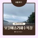 보길예송리
